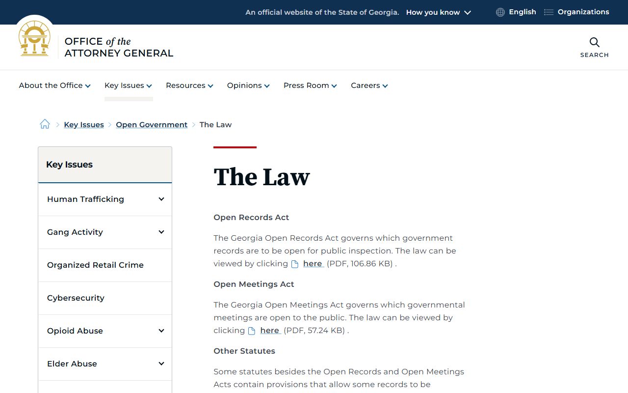 Douglas County court records Georgia open government access law